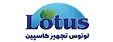 لوتوس